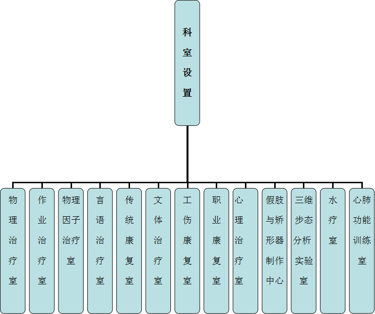 治疗团队725.png